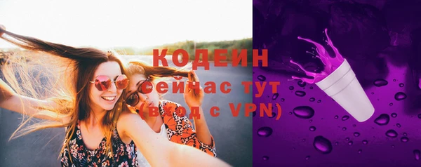 твердый Дмитриев
