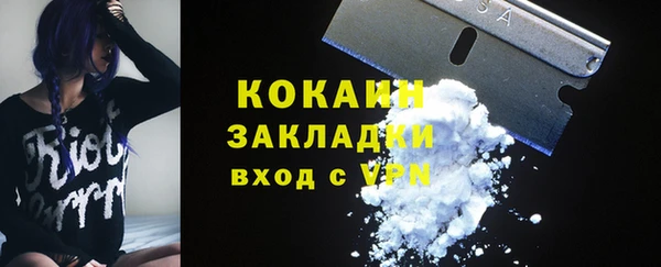 твердый Дмитриев