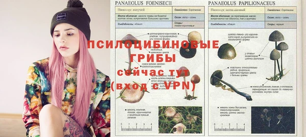 твердый Дмитриев