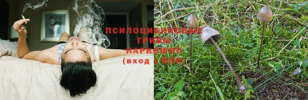 каннабис Дмитров